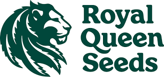Royal Queen Seeds 